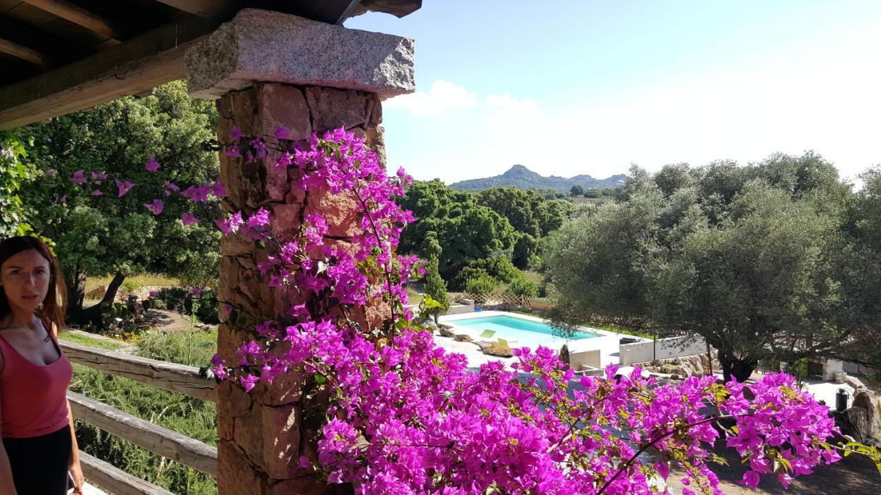 Agriturismo Desole Monti Exterior photo