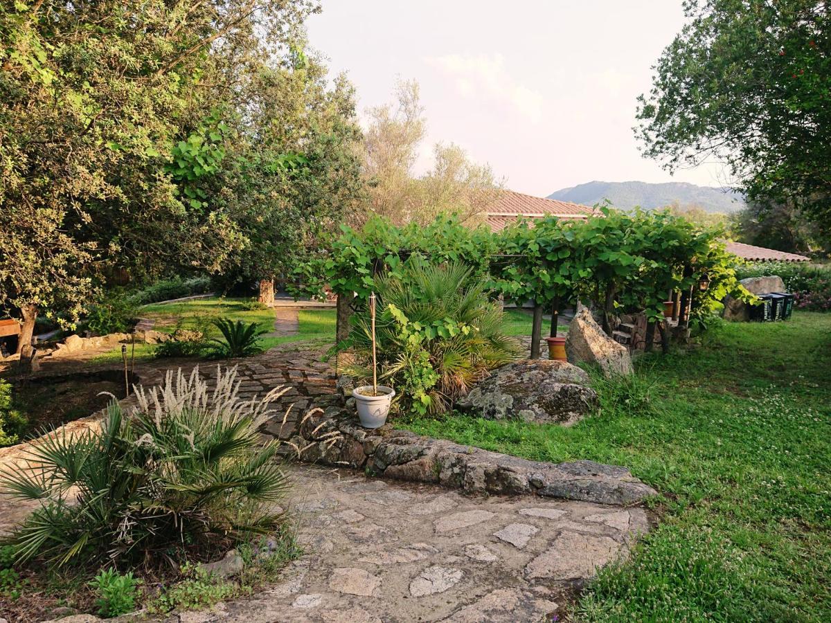 Agriturismo Desole Monti Exterior photo