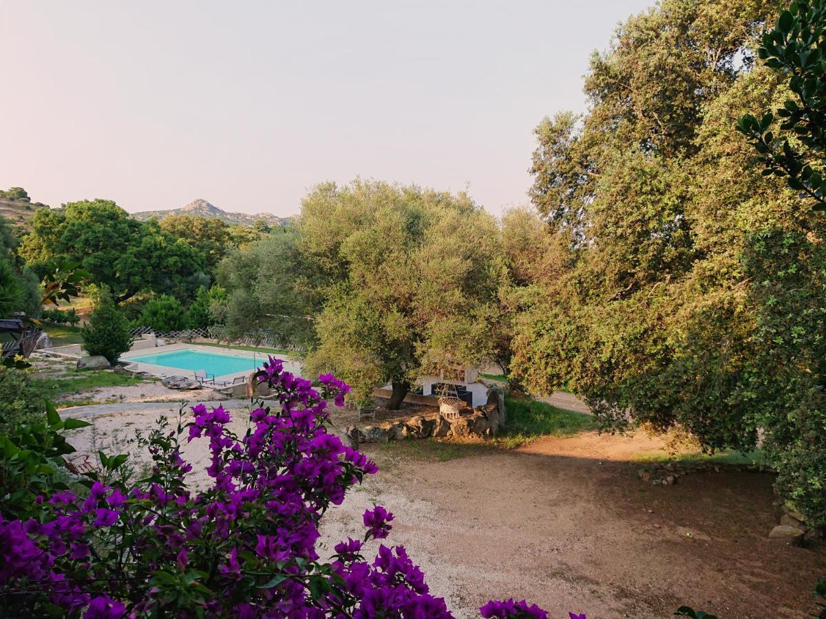 Agriturismo Desole Monti Exterior photo