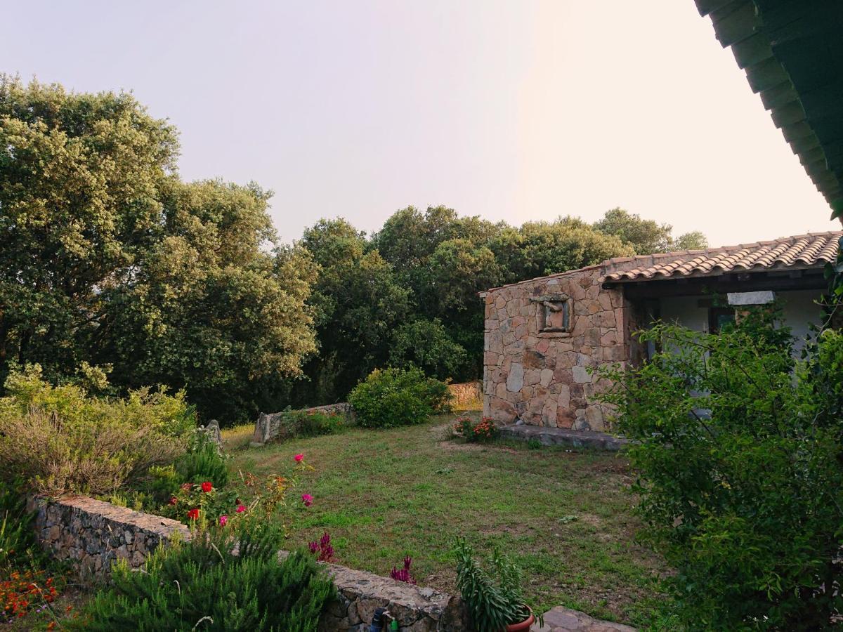 Agriturismo Desole Monti Exterior photo