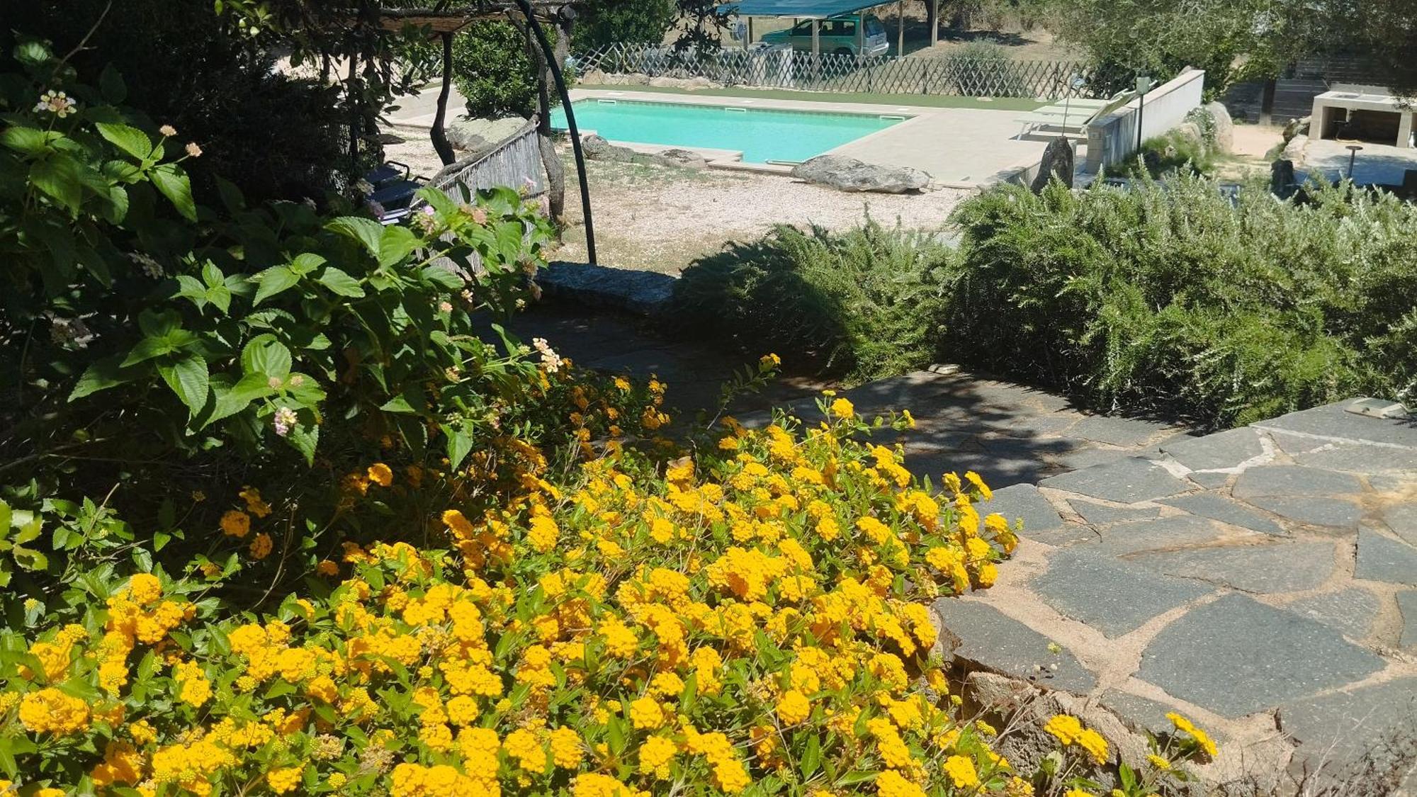 Agriturismo Desole Monti Exterior photo